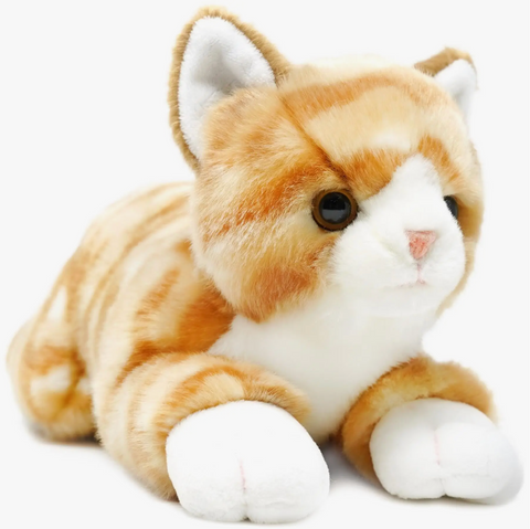 Tamarr the Orange Tabby Cat