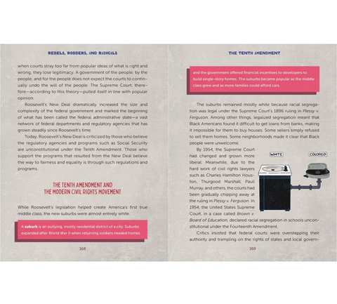 Rebels, Robbers, and Radicals