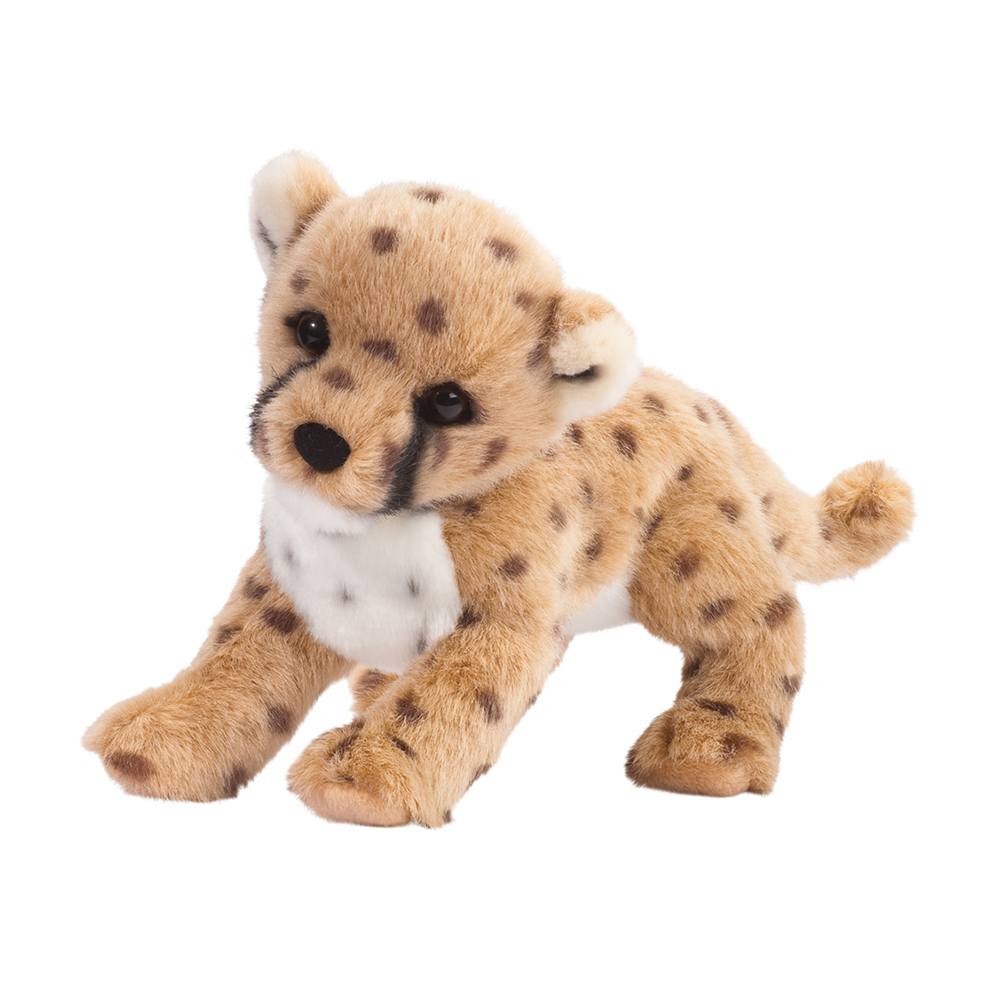 Chillin’ Cheetah Cub