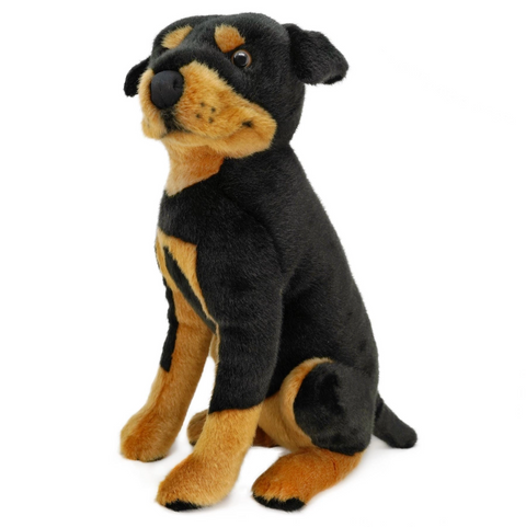 Ronin the Rottweiler