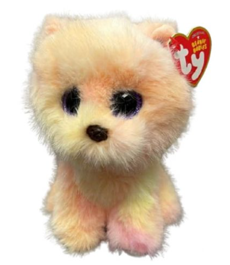 PALMER - Pomeranian yellow - Stay Forever