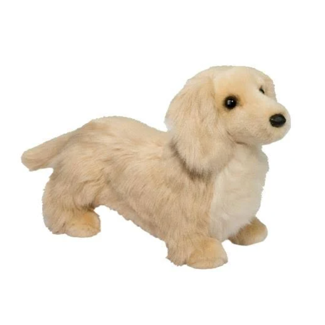 Haisley Golden Dachshund
