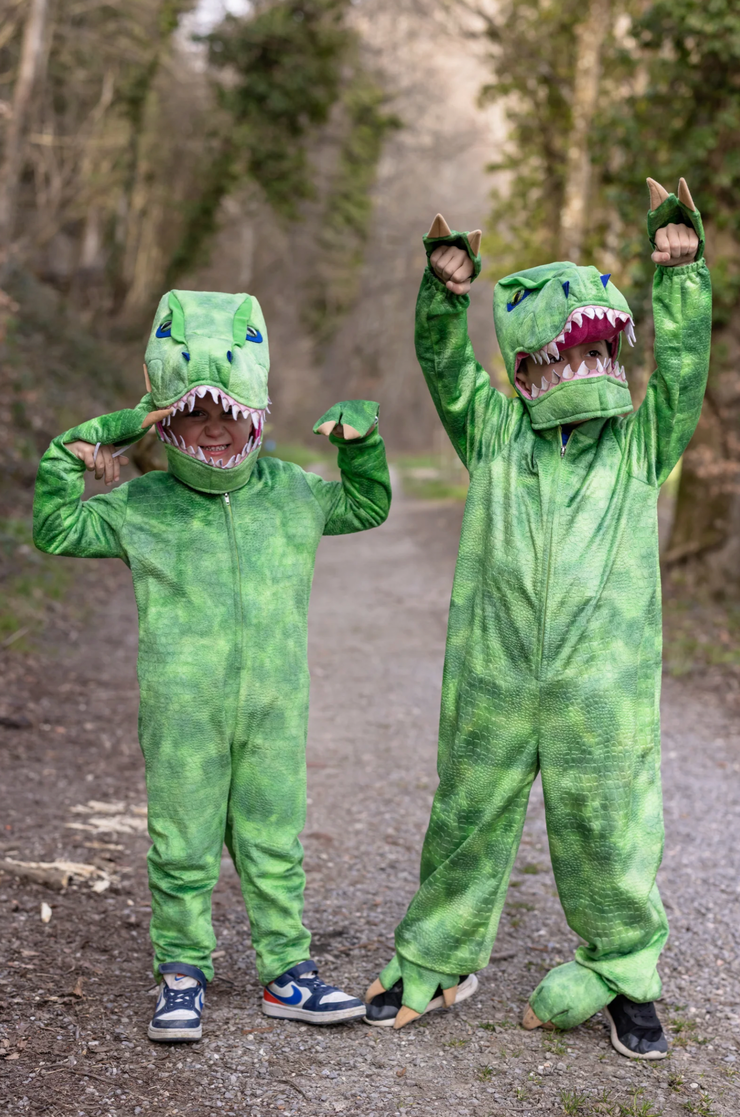 A Land Before Mine Deluxe T-Rex, 2-3T