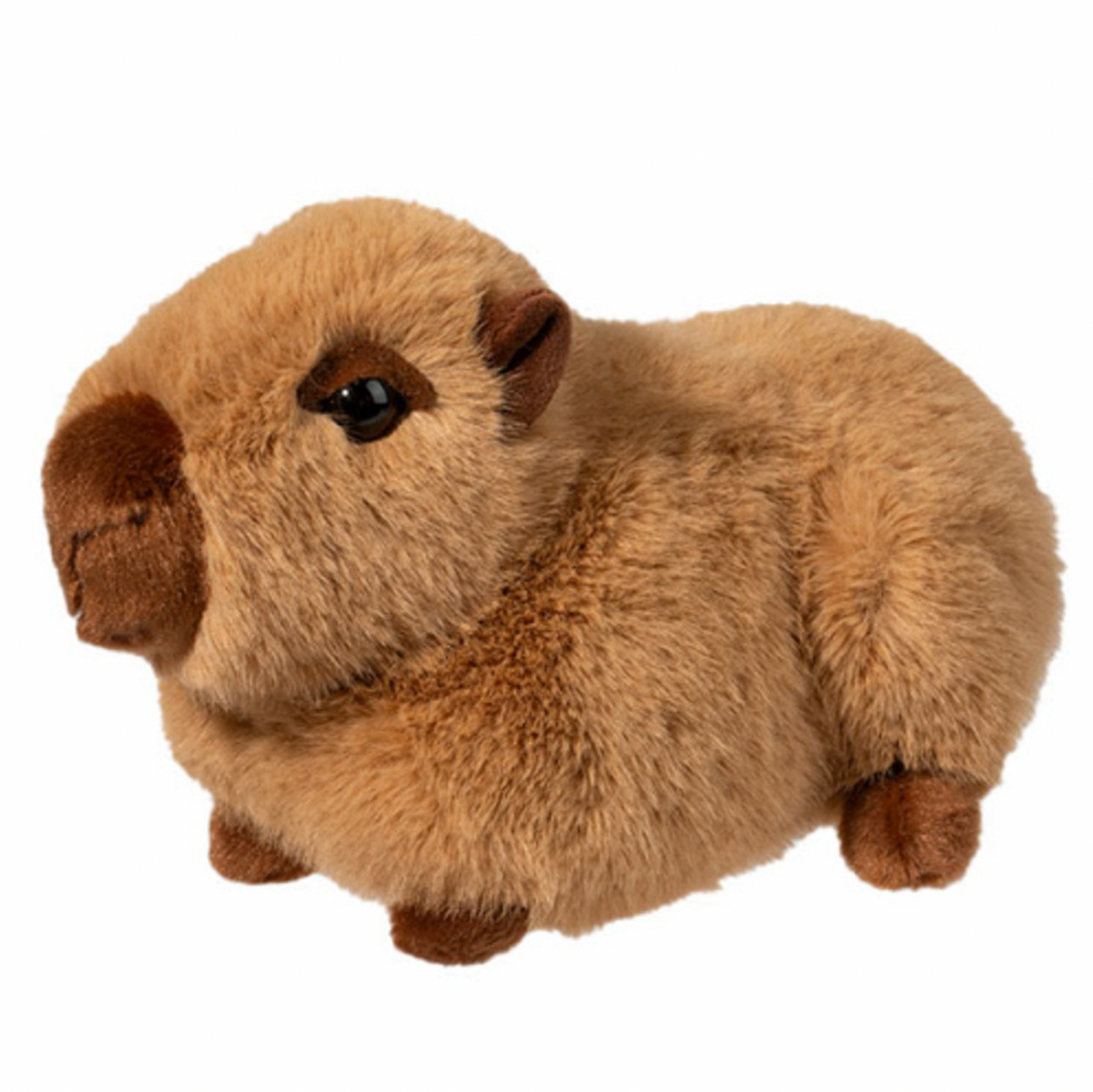Chattie Soft Capybara Mini Loaf