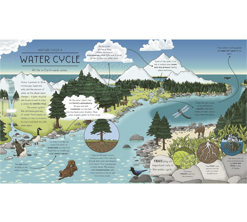 Nature Explained: Nature Cycles,  Simply Told