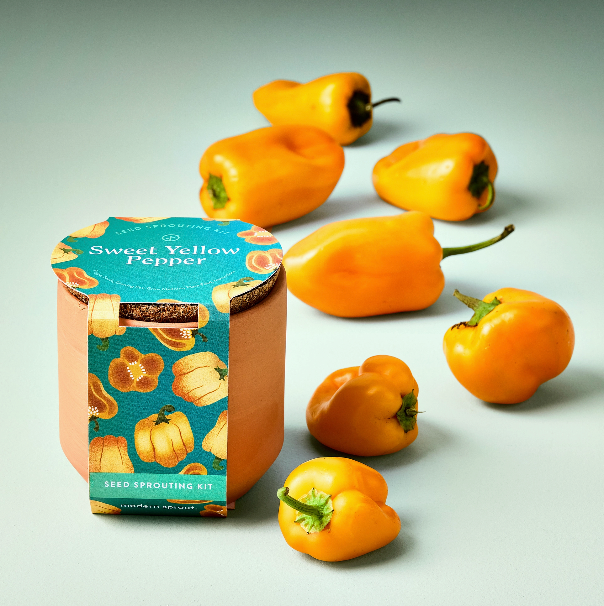 Tiny Terracotta Garden Kit Sweet Yellow Pepper