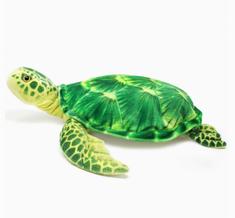 Olivia the Hawksbill Turtle