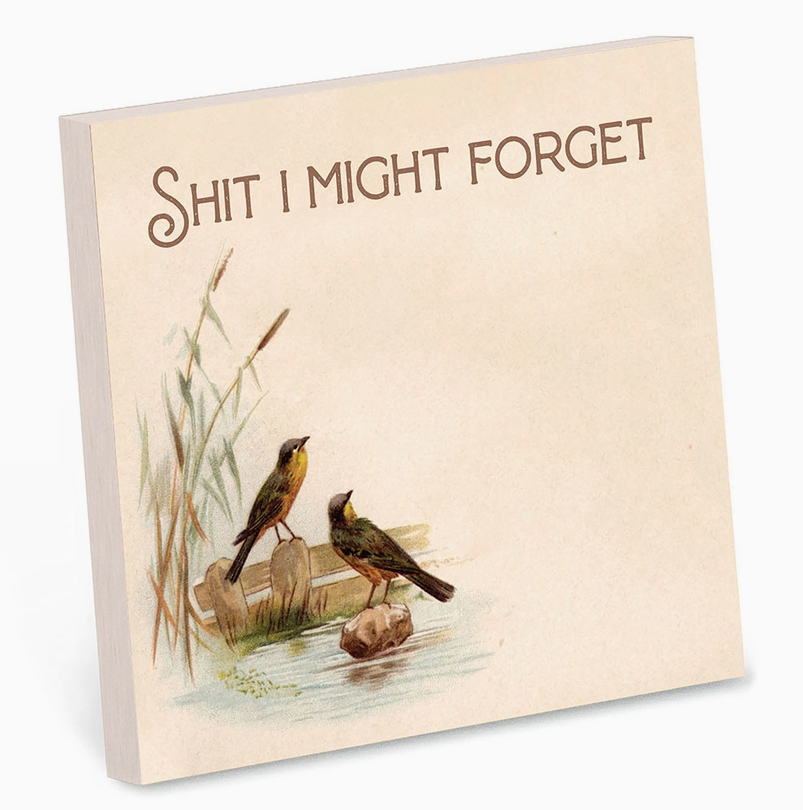 Shit I Might Forget Sticky Note Pad