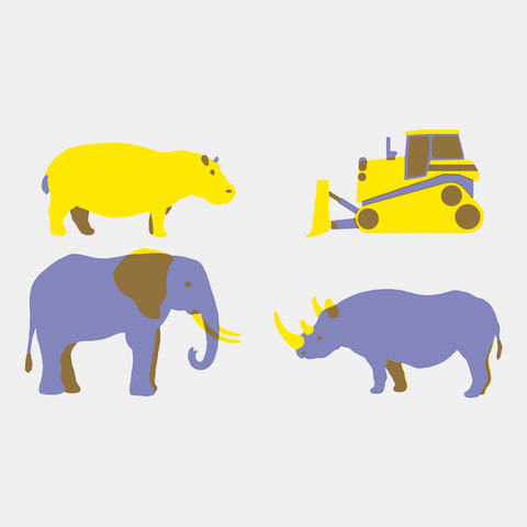 Animals