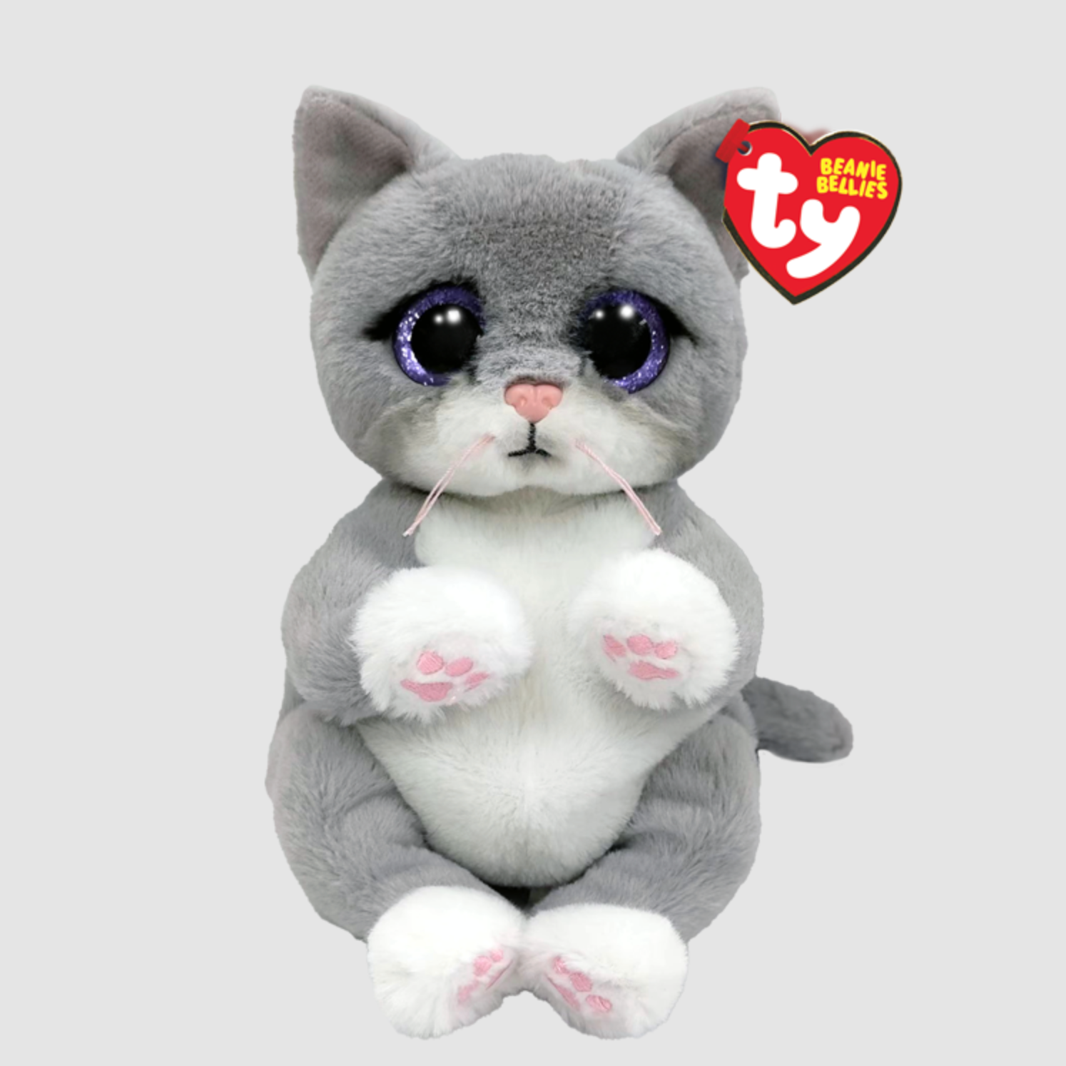 MORGAN - Cat Gray Belly