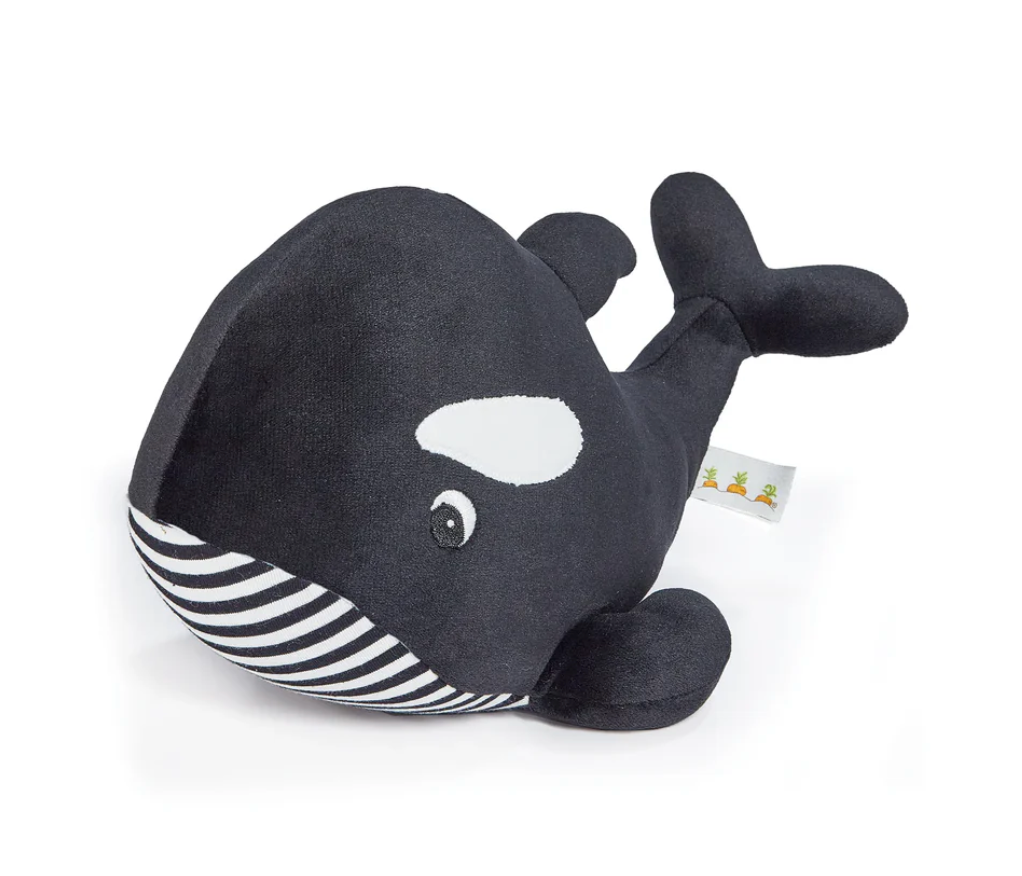 Winnie the Orca Whale