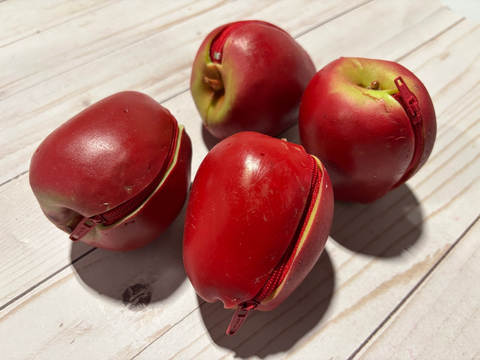 Apple Coin Purse