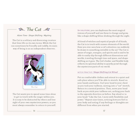 The Little Witch's Oracle Deck: Symbols, Spells, and Rituals for the Young Witch