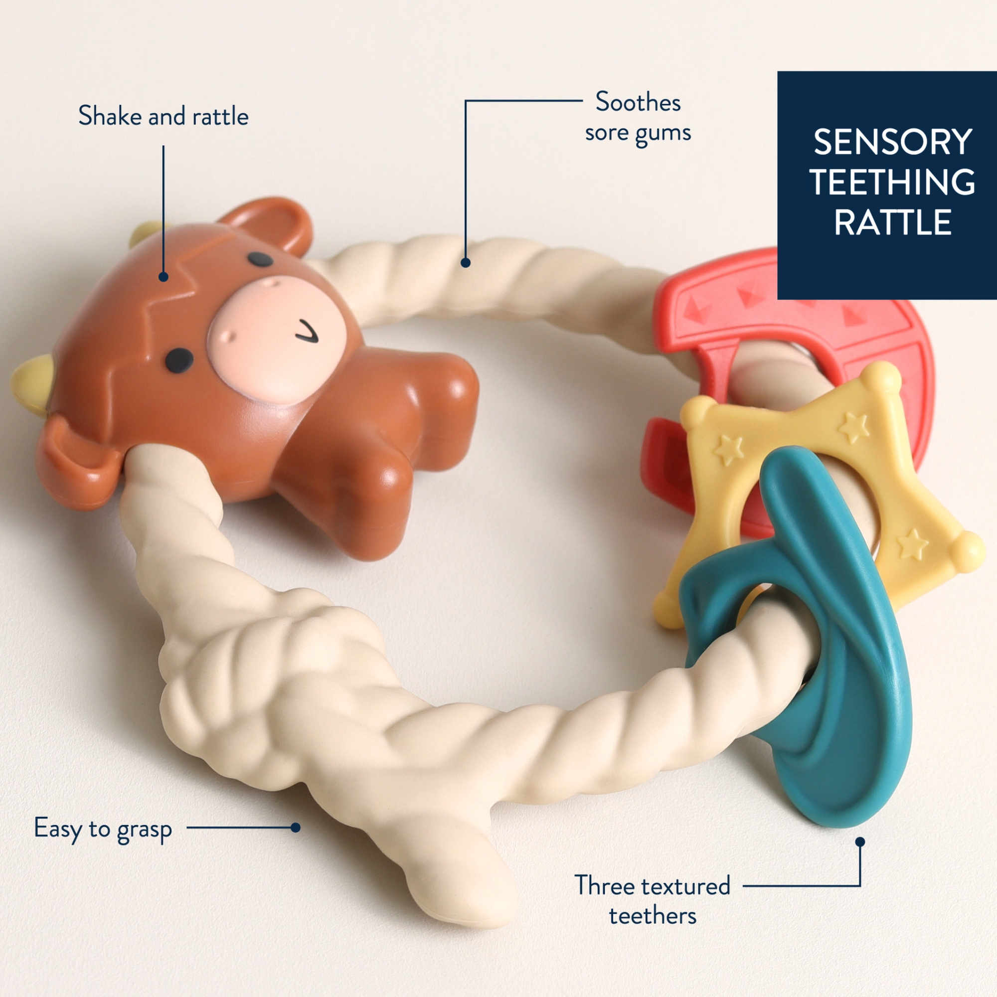 Ritzy Rattle Highland Cow