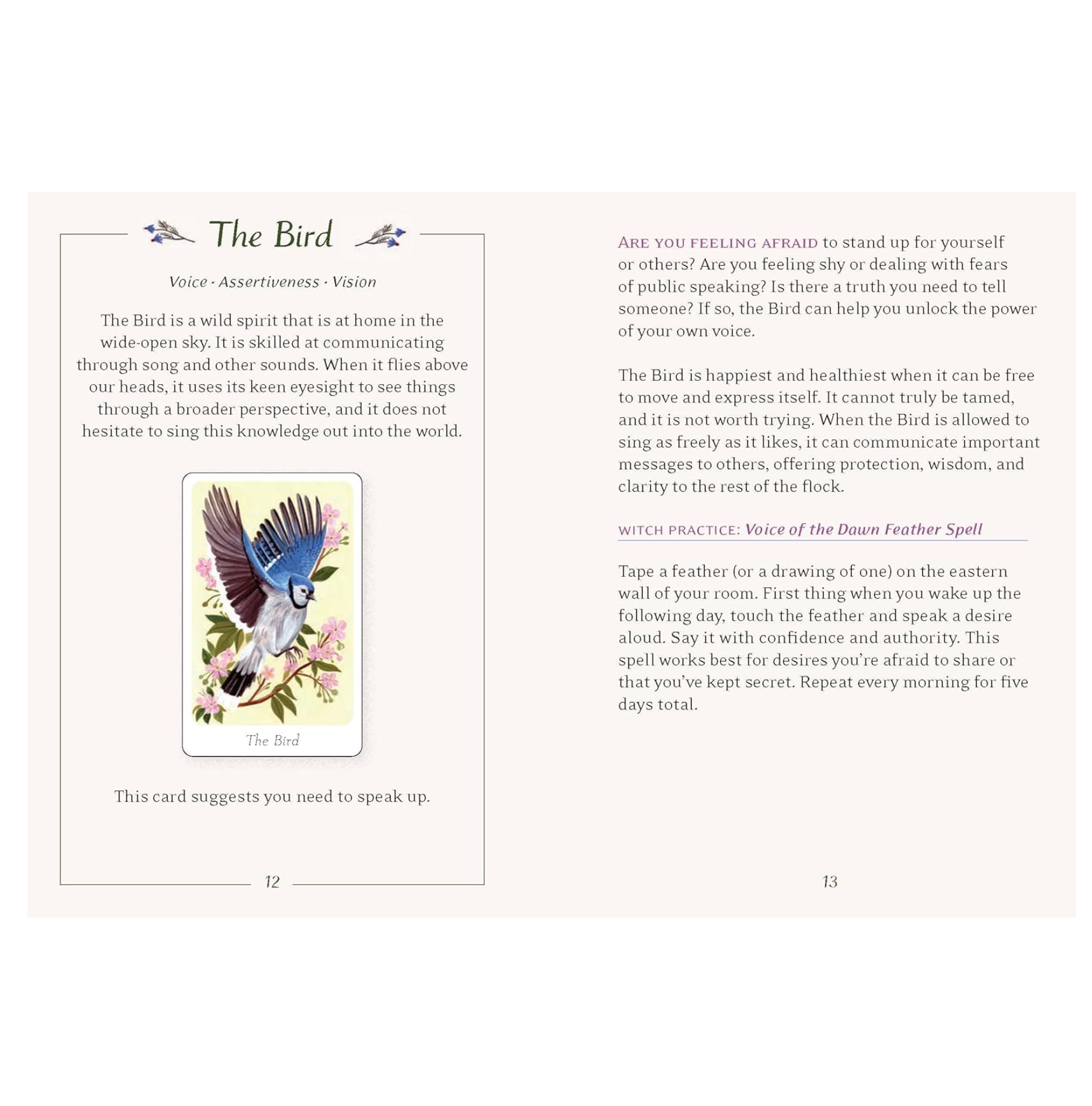 The Little Witch's Oracle Deck: Symbols, Spells, and Rituals for the Young Witch