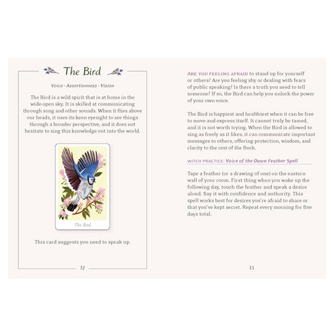 The Little Witch's Oracle Deck: Symbols, Spells, and Rituals for the Young Witch