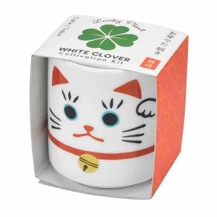Lucky Plant - Beckoning Cat - Stay Forever