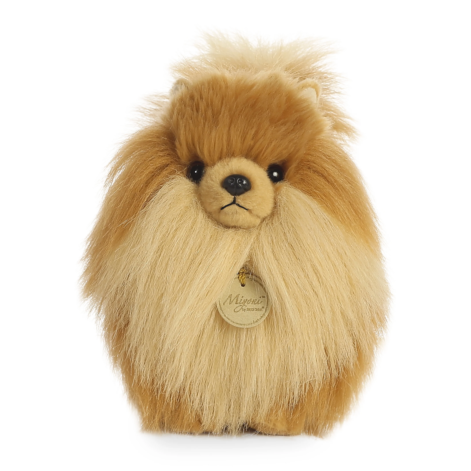 Miyoni- 9" Pomeranian