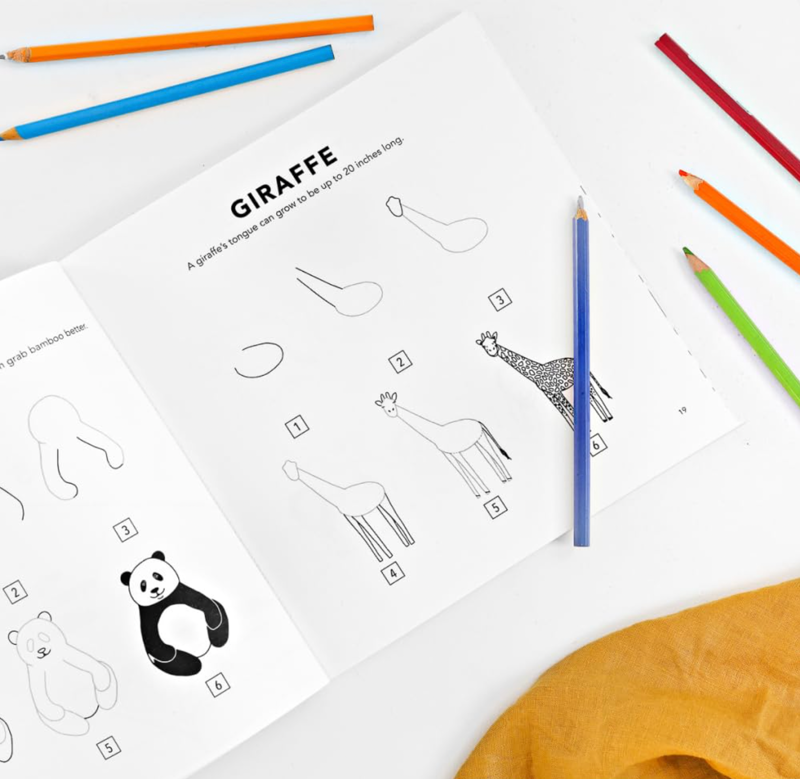 How to Draw All the Animals