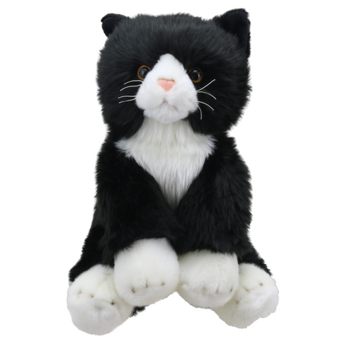 Wilberry Favourites: Cat