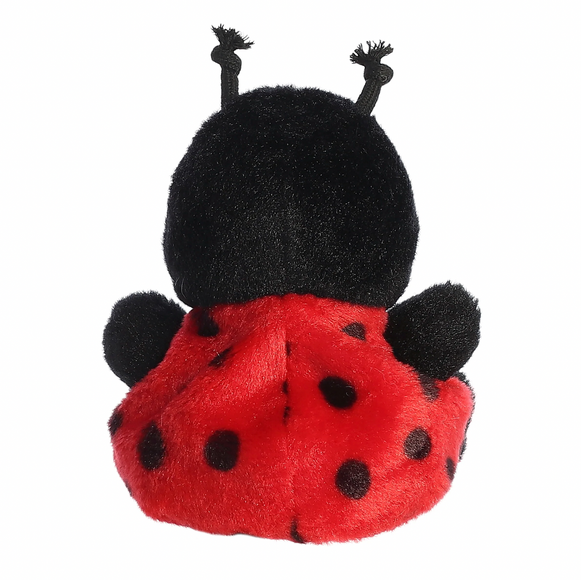 5" Lil Spots Ladybug