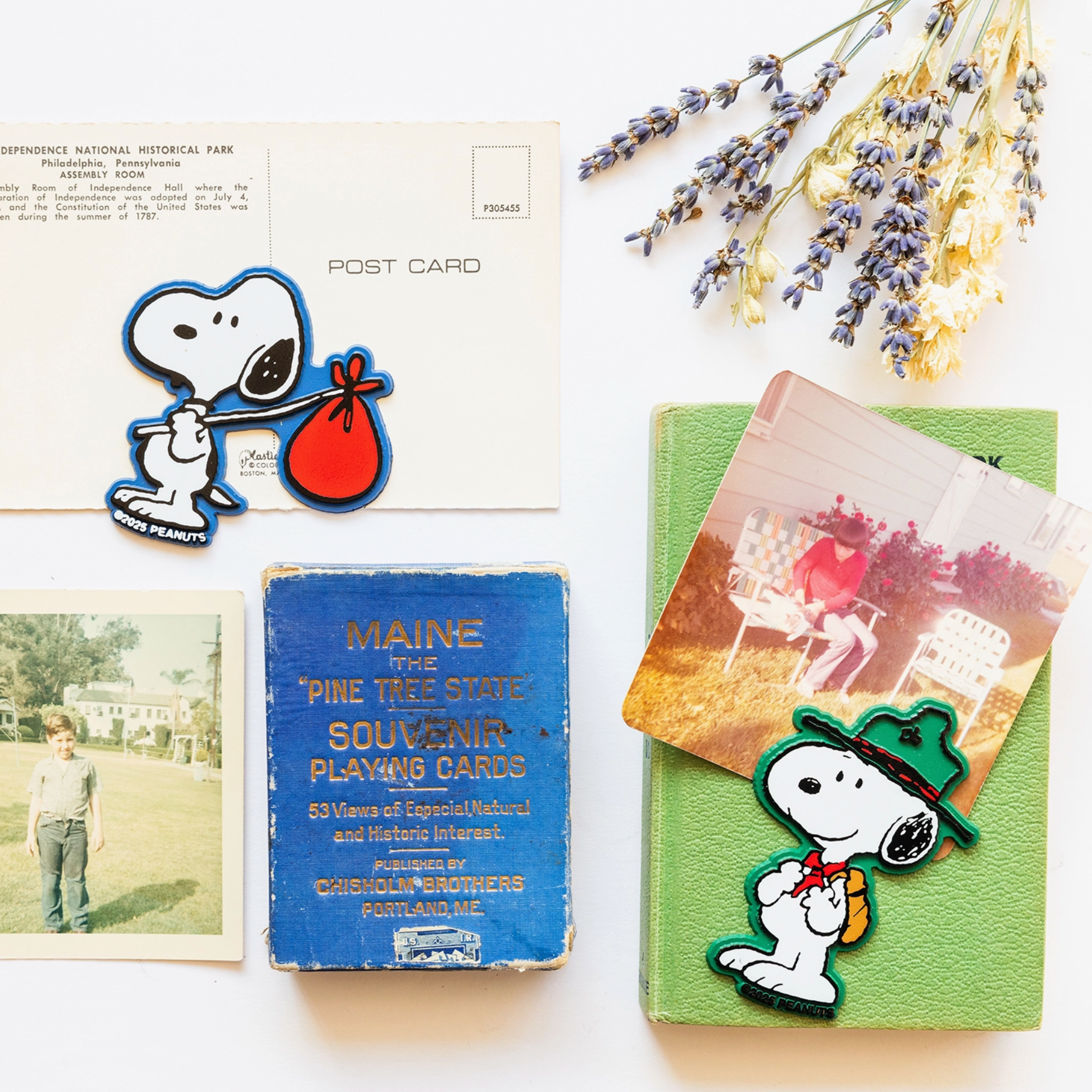 Peanuts® Snoopy Scout Magnet