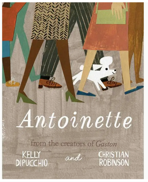 Antoinette (Hardcover Book)