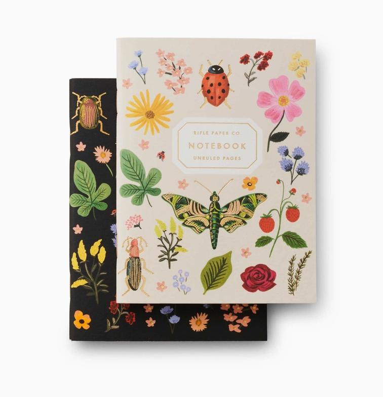 Pair of 2 Curio Pocket Notebooks