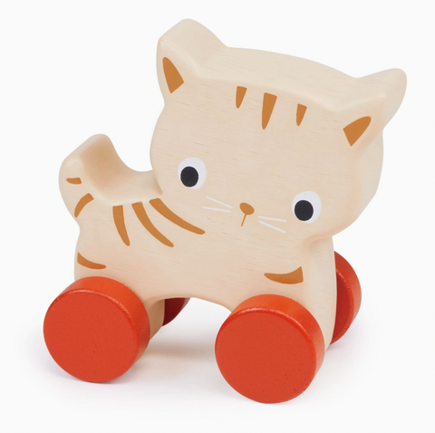 Kitten On Wheels