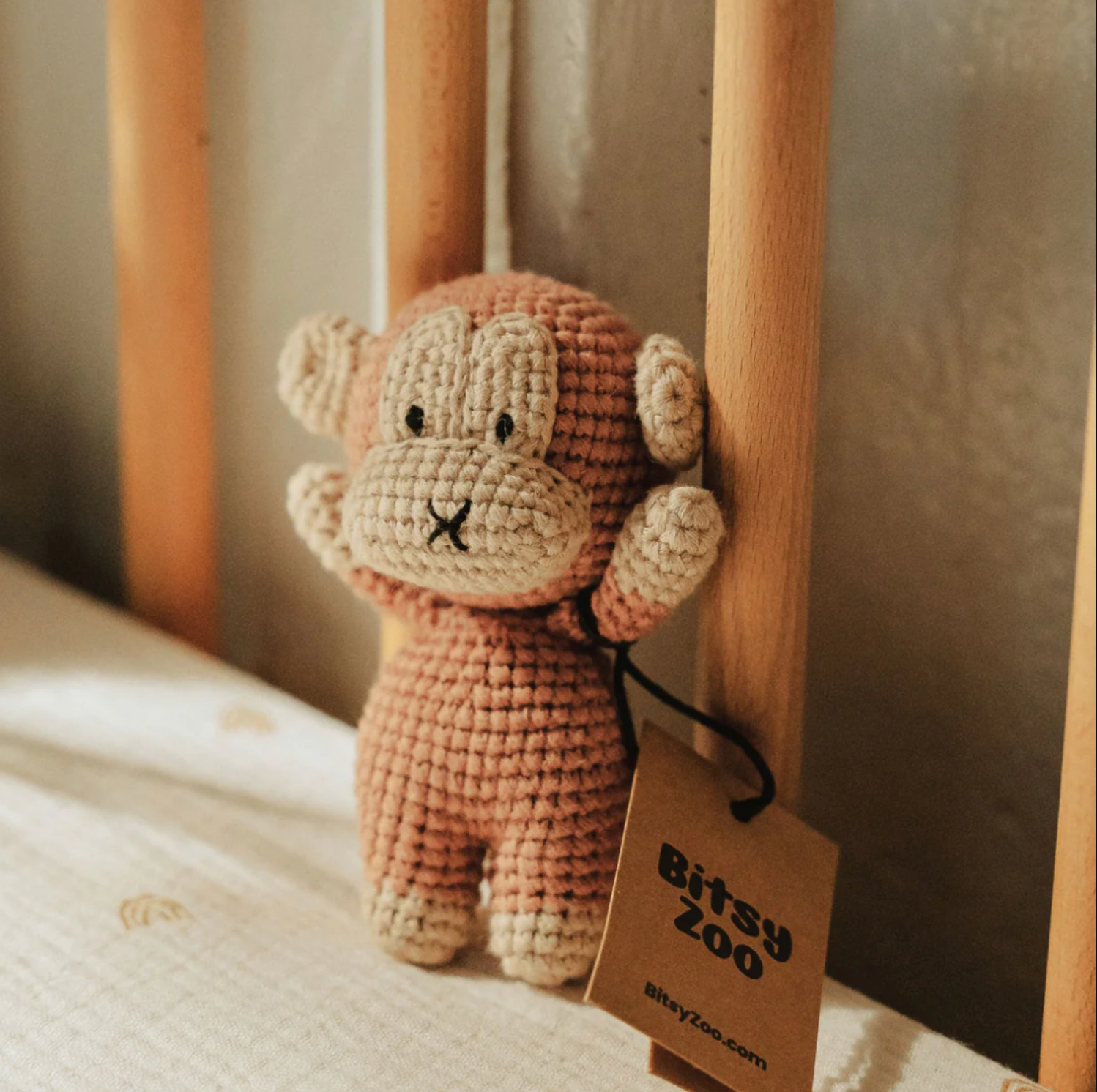 Charlie the Chunky Monkey