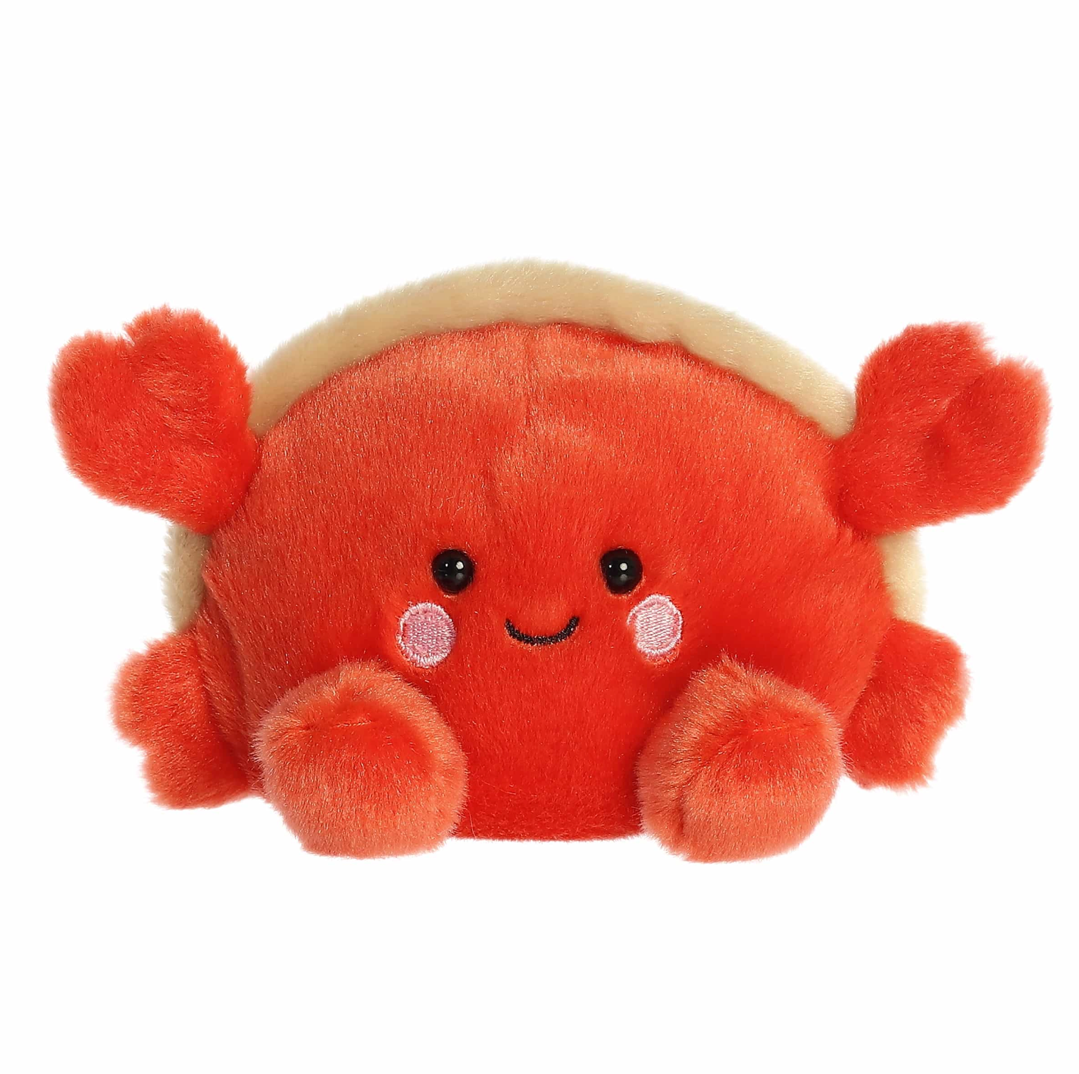 5" Tide Hermit Crab
