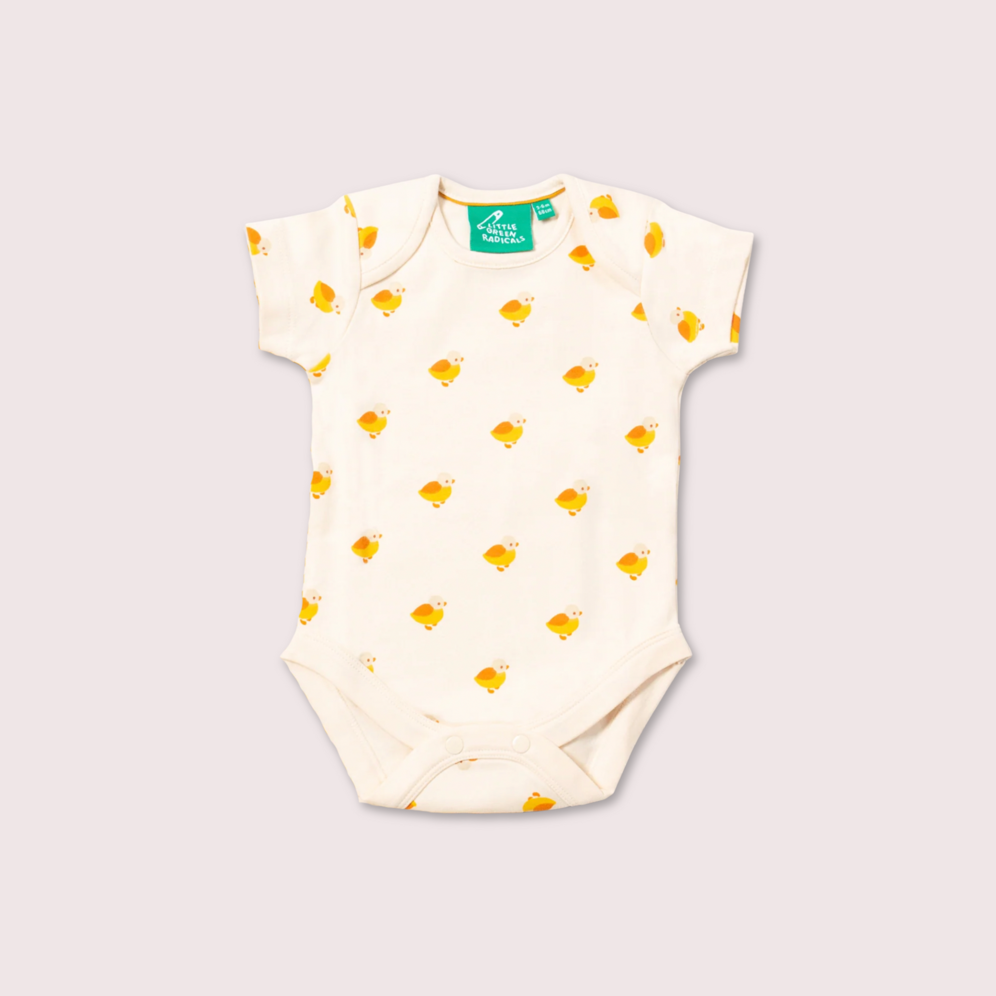 Little Ducks Organic Baby Bodysuit