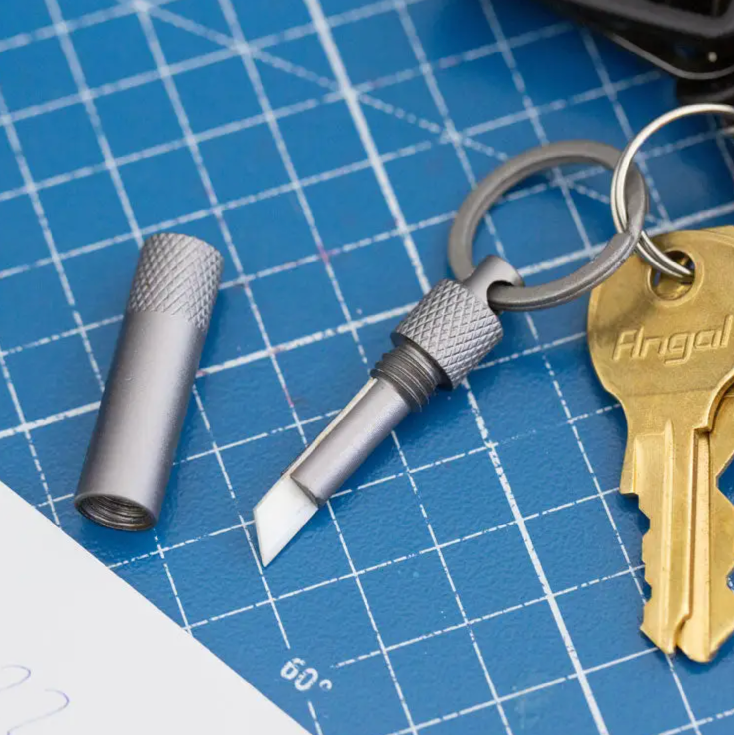 Cut It Out! - Stay Forever