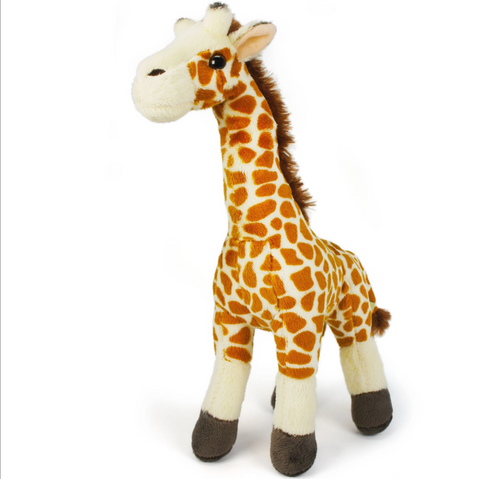Evelyn the Giraffe