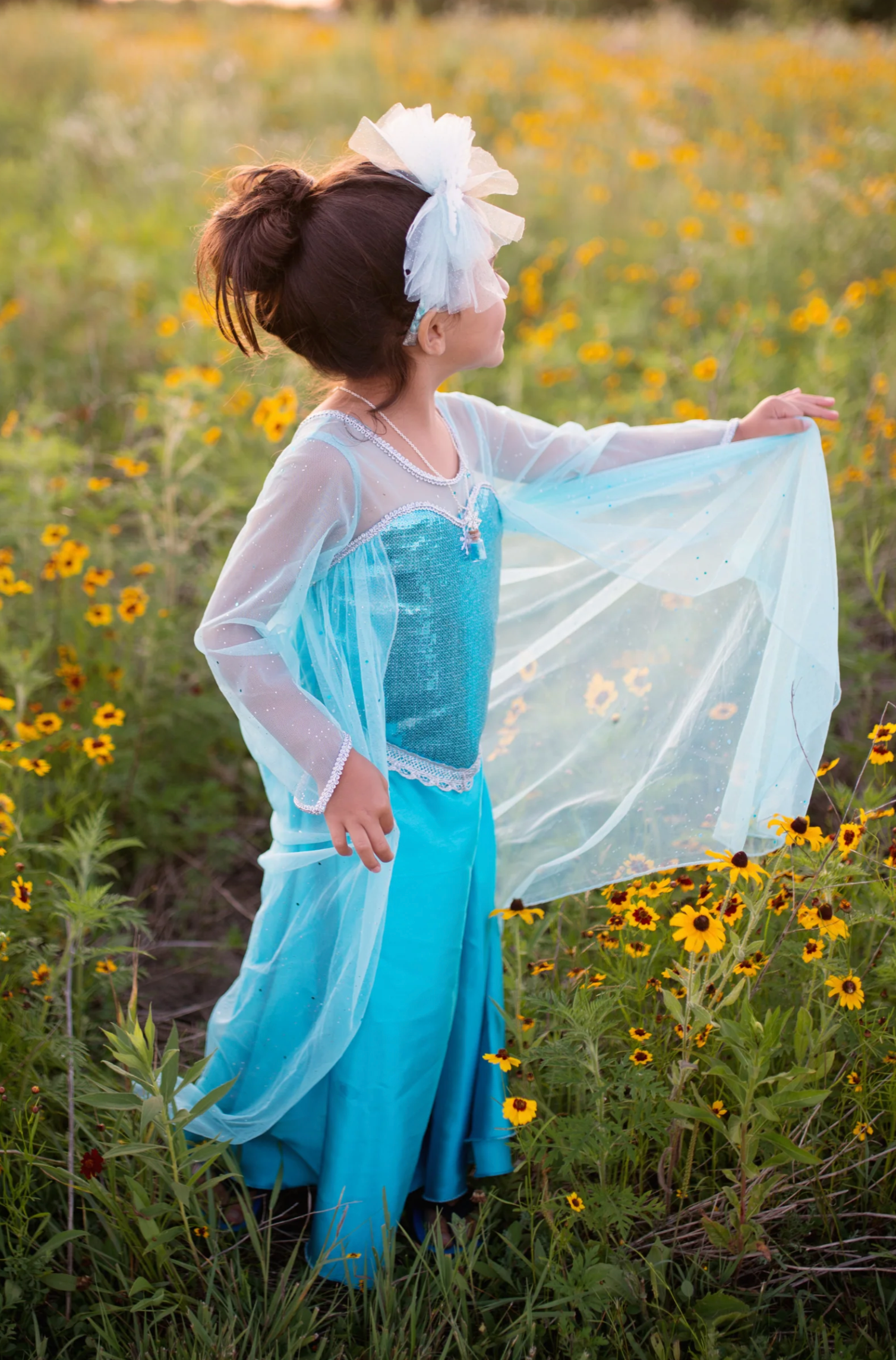 Ice Queen Dress With Cape, Size 3-4