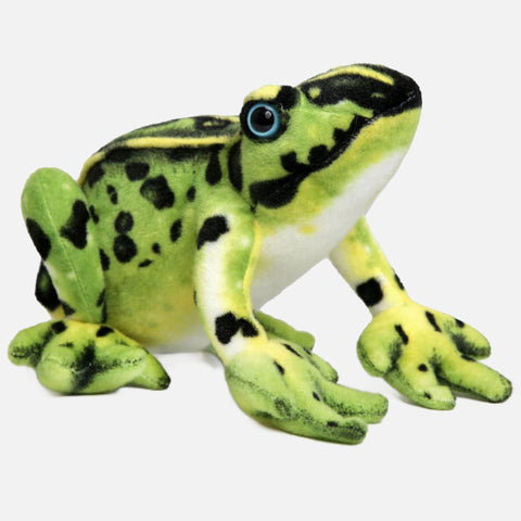 Frisco the Frog