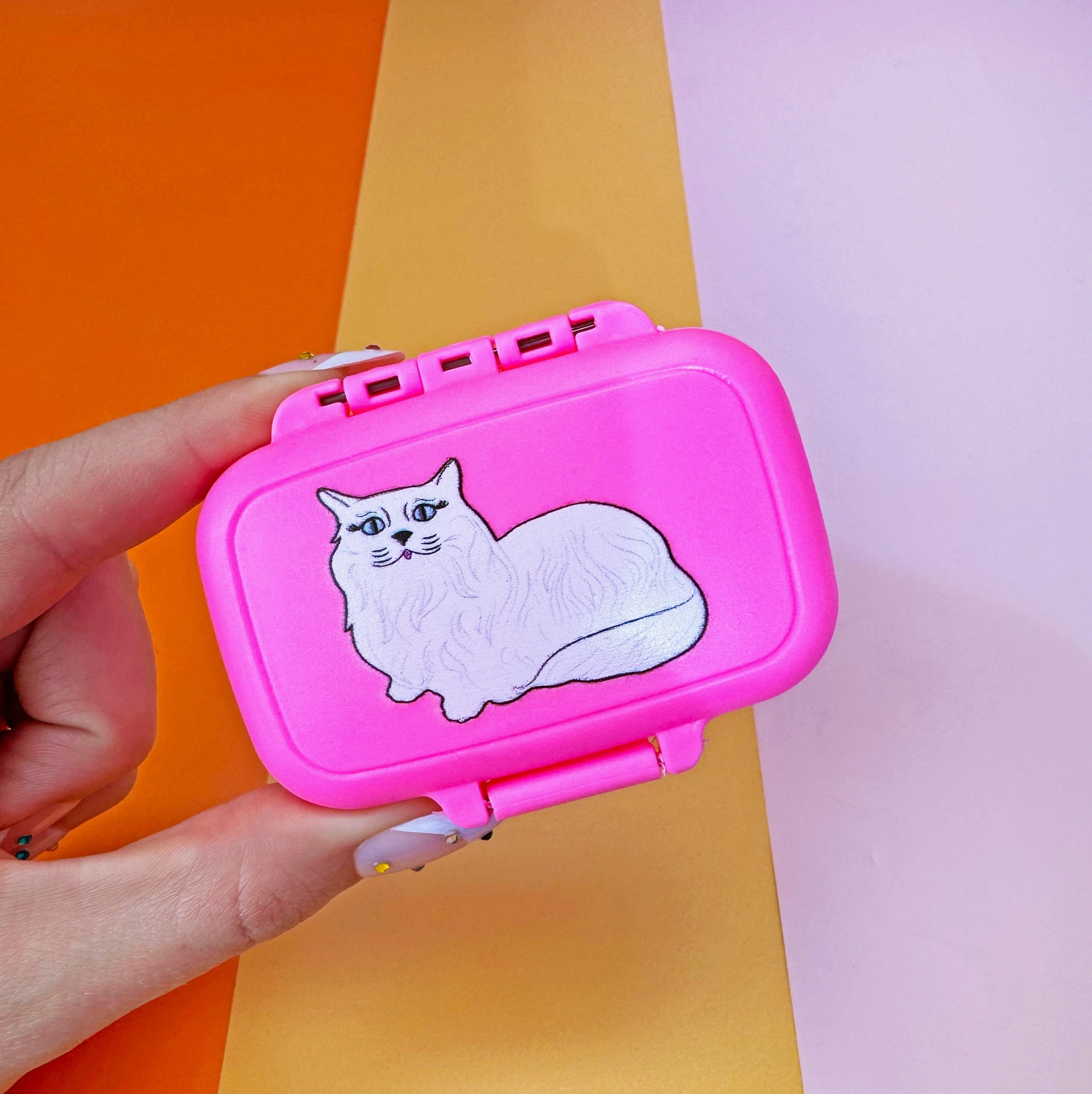 Cat Pill Case