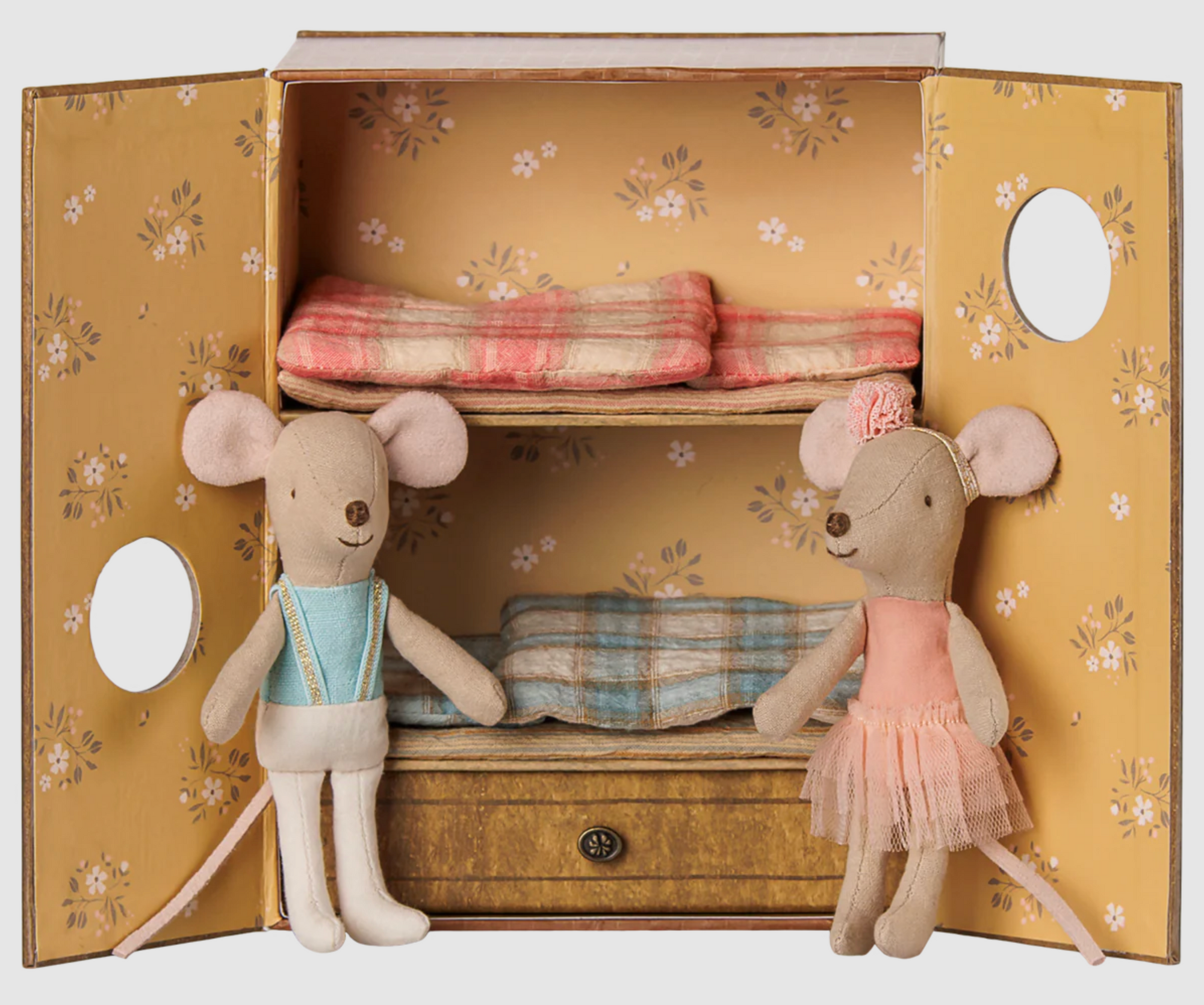 Ballet mice in dance studio, Little sister and brother