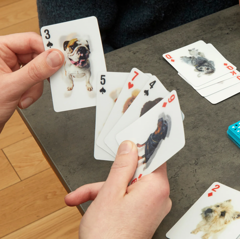 Playing Cards Dogs 3D