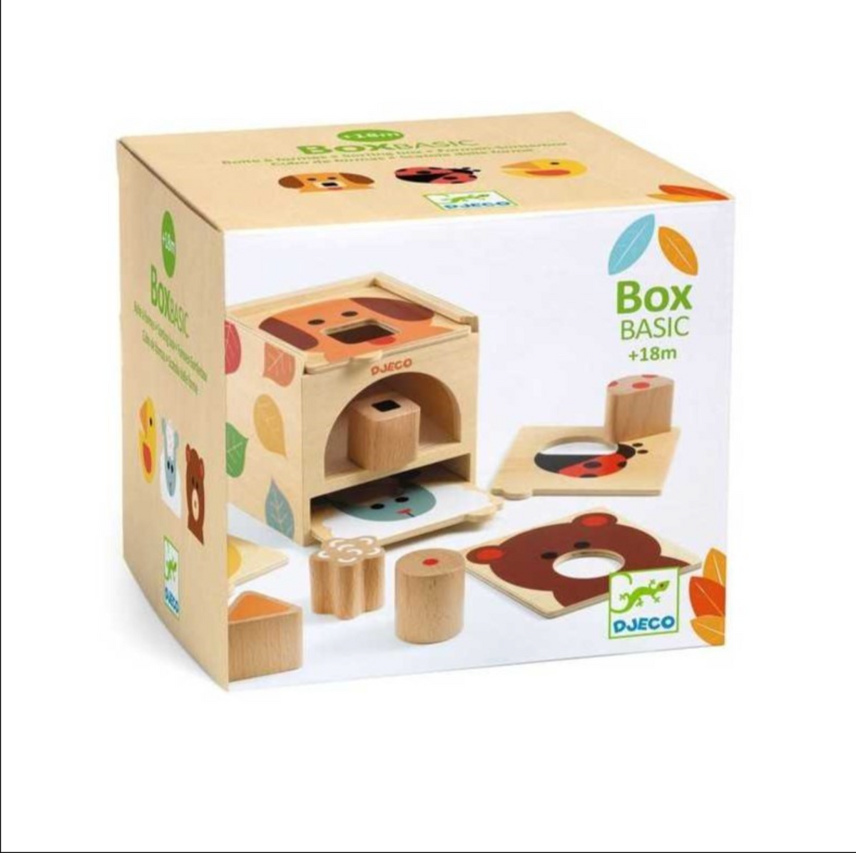 Djeco Box Basic