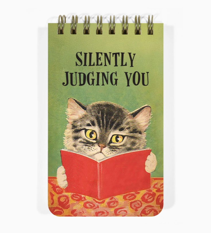 Silently Judging You - Funny 3x5 Spiral Memo Notepad