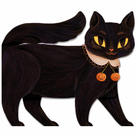 One Black Cat