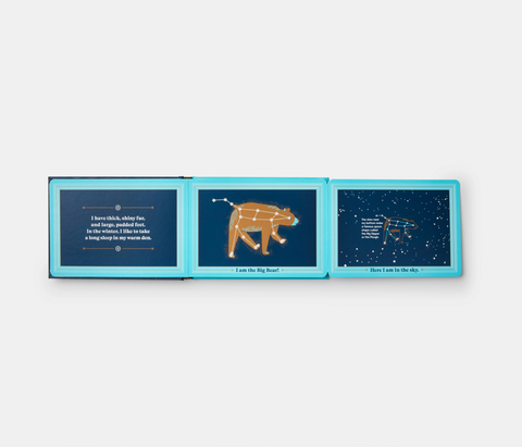 Animals in the Sky
