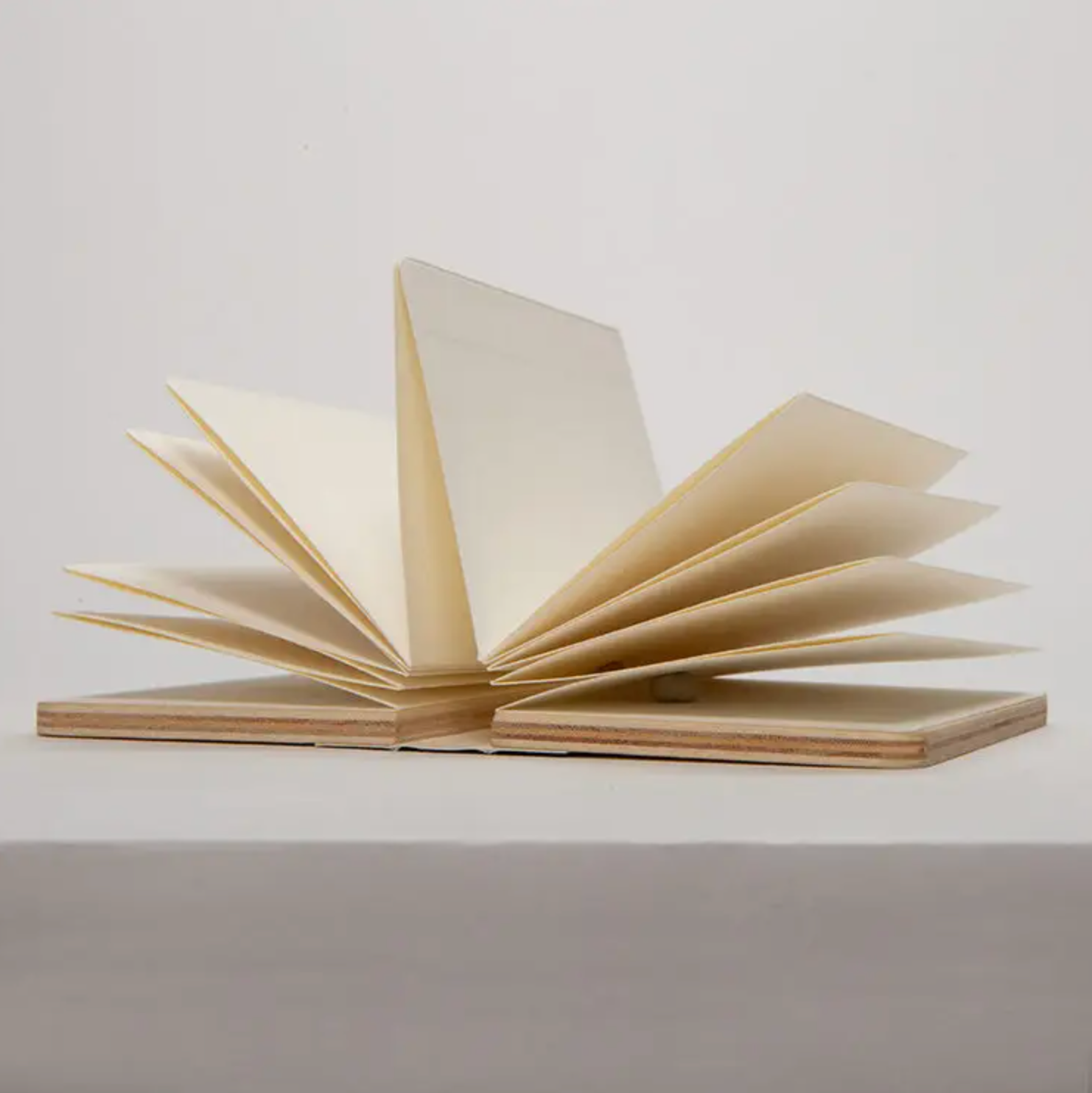 Field Flower Press - Stay Forever