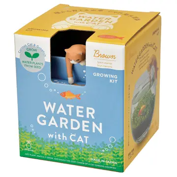 Water Garden With Cat
