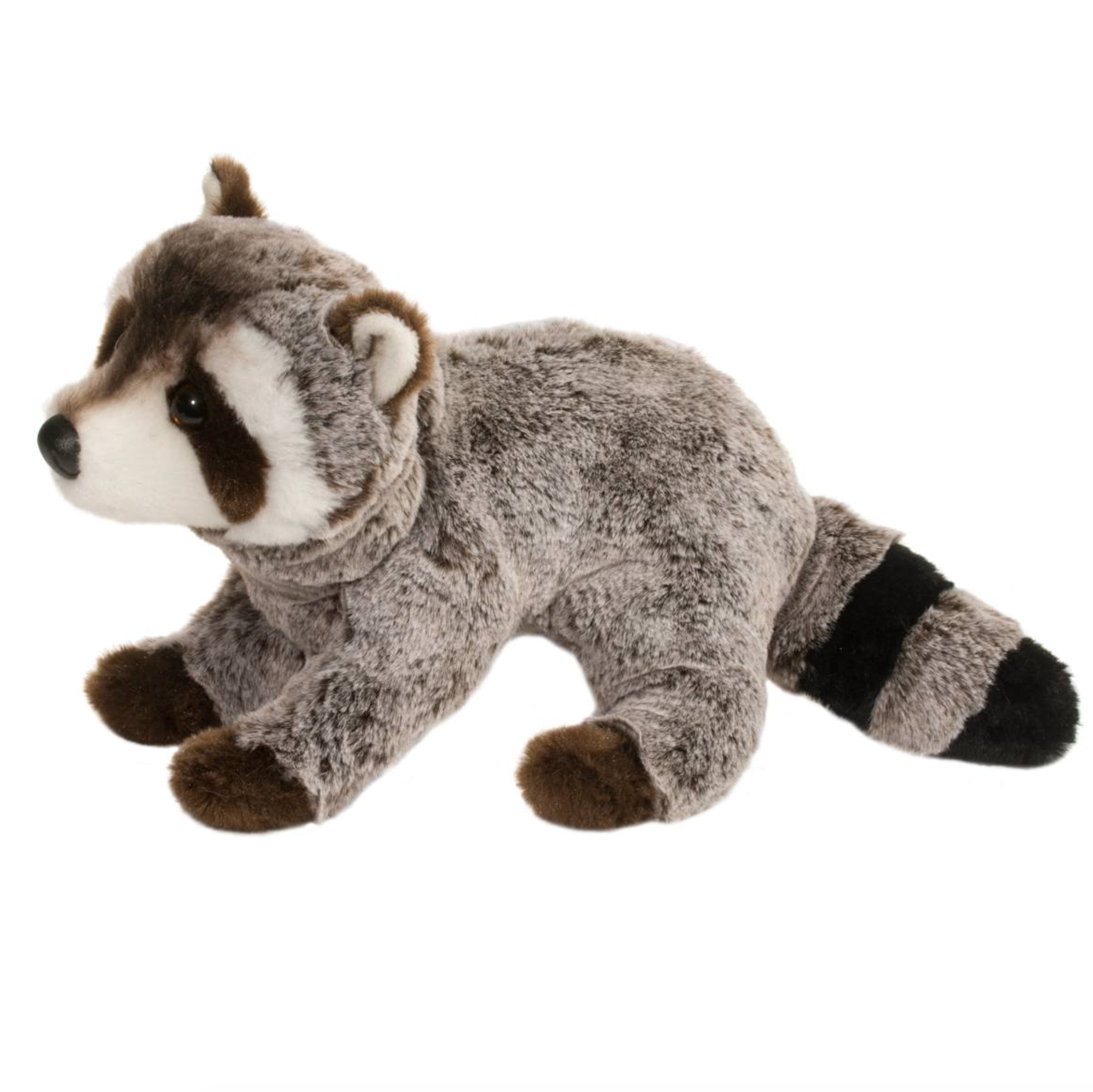 Ringo Raccoon