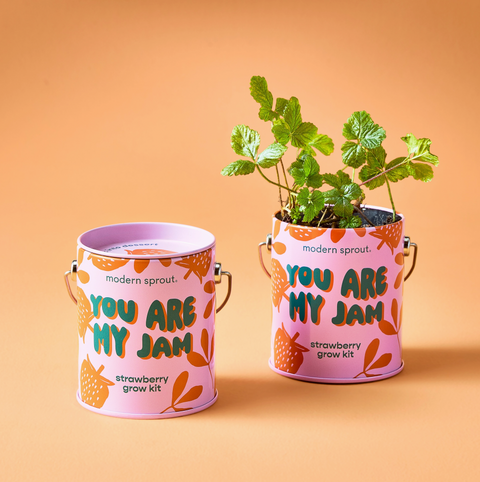 Complimentary Color Grow Kit You are My Jam