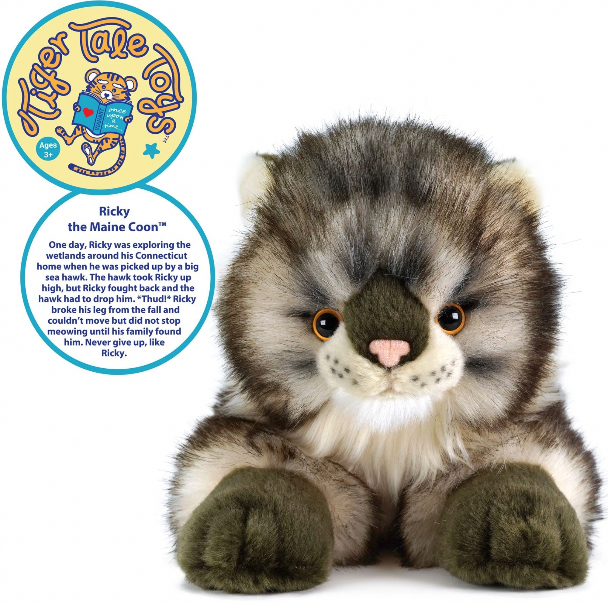 Ricky the Maine Coon