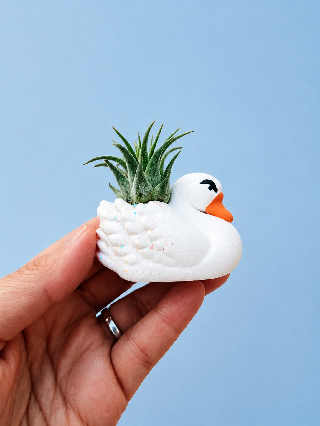White Swan Mini Planter with Air Plant