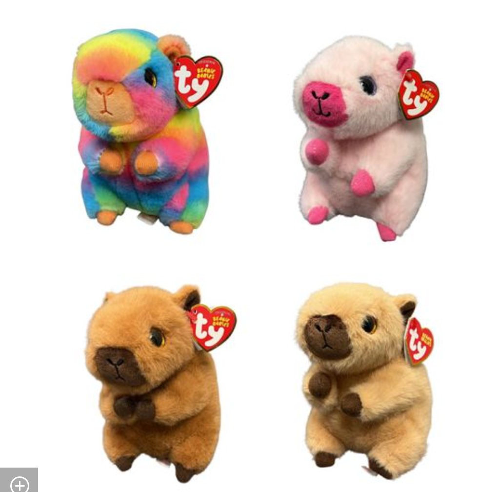 CAPYBARA Assorted - Stay Forever